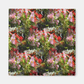 ベゴニアスのフィールド..... マグネット (正面)