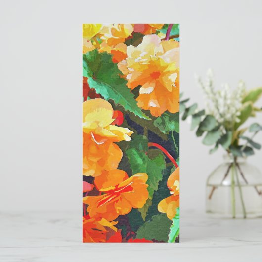 ベゴニアスカード (スタンド正面)