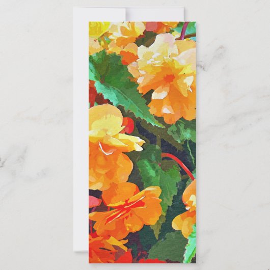 ベゴニアスカード (正面)