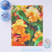 ベゴニアス チラシ (シングル)