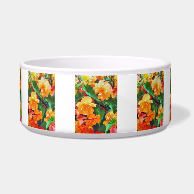 ベゴニアス ボウル (正面)