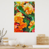 ベゴニアス ポスター (キッチン)