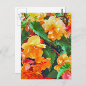 ベゴニアス ポストカード (正面/裏面)