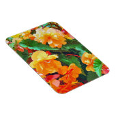 ベゴニアス マグネット (右側)