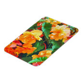 ベゴニアス マグネット (左側)