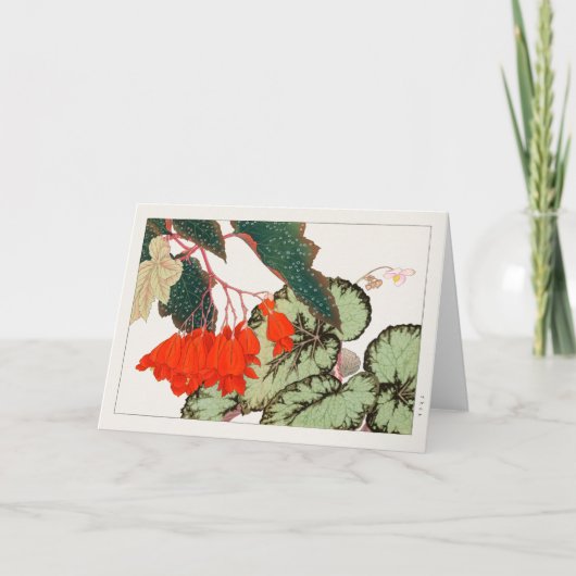 ベゴニアバイタニガミ湖南 カード (正面)