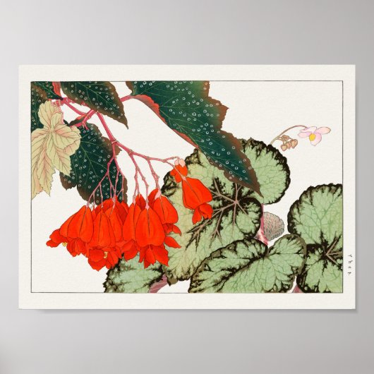 ベゴニアバイタニガミ湖南 ポスター (正面)