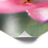 ベゴニアペタル フォトプリント            (角)