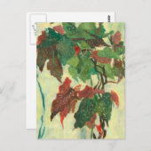 ベゴニアマクラタホームガーデンプラント絵画フローラ ポストカード (正面/裏面)