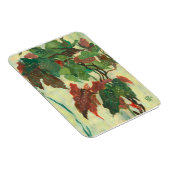 ベゴニアマクラタホームガーデンプラント絵画フローラ マグネット (右側)