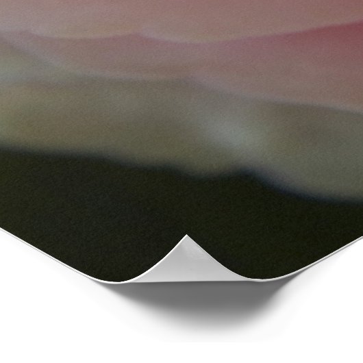 ベゴニア美しい ポスター (角)