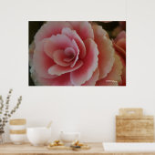 ベゴニア美しい ポスター (キッチン)