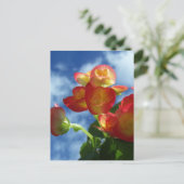 ベゴニア花はがき ポストカード (スタンド正面)