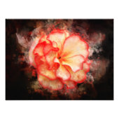 ベゴニア花水彩 – bb3 フォトプリント            (正面)