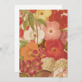 ベゴニア | ジョージ・ニコルソン (正面/裏面)