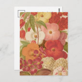 ベゴニア | ジョージ・ニコルソン ポストカード (正面/裏面)