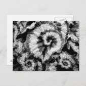 ベゴニ葉アの(白黒) ポストカード (正面/裏面)