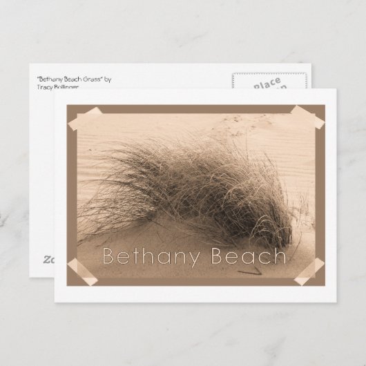 ベサニー草の葉のポストカード ポストカード (正面/裏面)