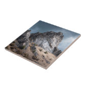ベシュバーマグ山 タイル (側面)