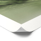 ベシー・フレンズ ポスター (角)