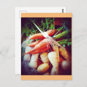 ベジス ポストカード (正面/裏面)