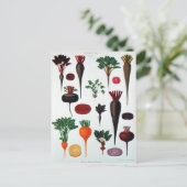 ベジタブル - ベナリー ポストカード (スタンド正面)