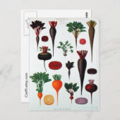ベジタブル - ベナリー ポストカード (正面/裏面)