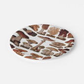 ベジタリアンヒバヴィンテージ ペーパープレート (アングル)