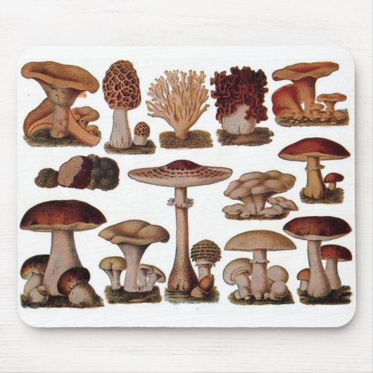 ベジタリアンヒバヴィンテージ マウスパッド (正面)