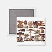 ベジタリアンヒバヴィンテージ マグネット (正面/裏面)