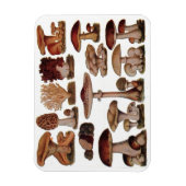 ベジタリアンヒバヴィンテージ マグネット (縦)