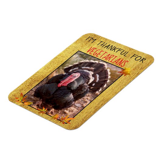 ベジタリアン感謝祭トルコ写真ビーガン感謝してい マグネット (左側)