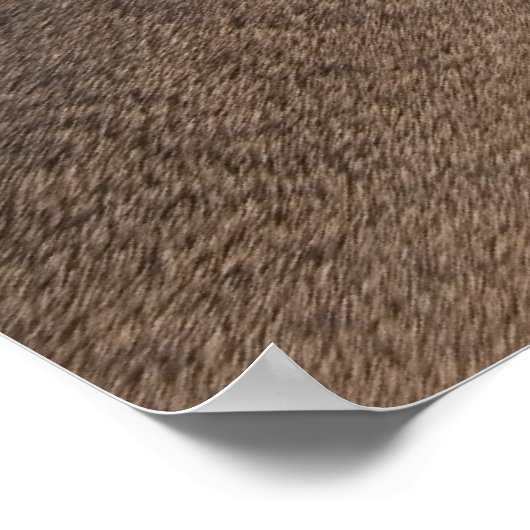 ベジタリアン ポスター (角)