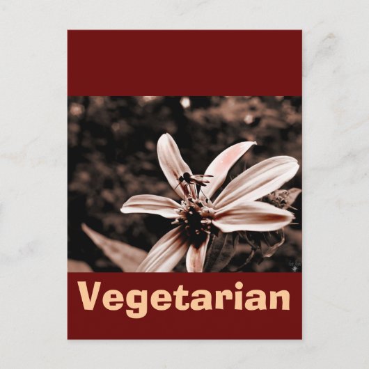 ベジタリアン ポストカード (正面)