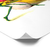 ベジーメンの復讐 ポスター (角)