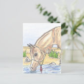 『ベジ・ビント・アハワ』  ポストカード (スタンド正面)