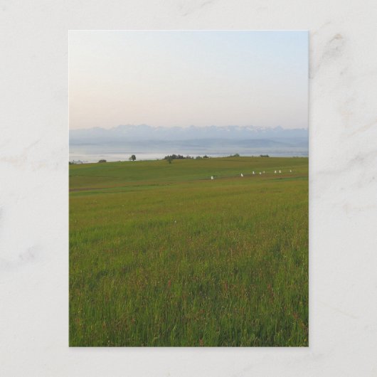 ベスキッドからのタラスビュー ポストカード (正面)