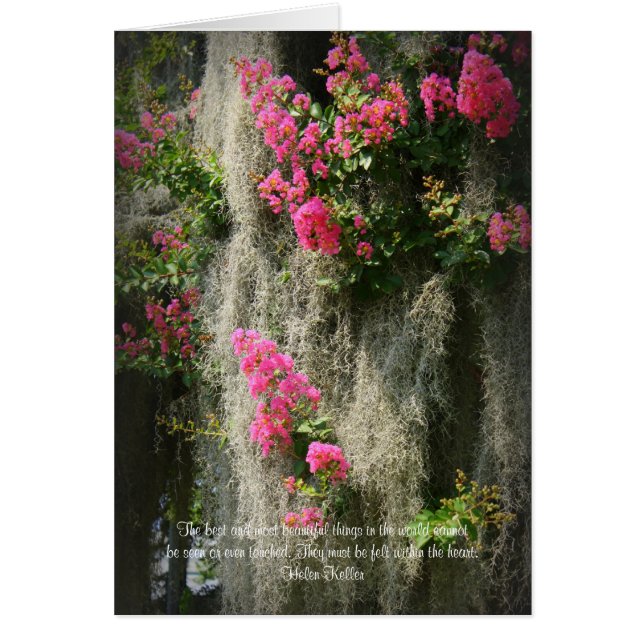 ベストおよびほとんどの美しい事… (正面)