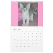 ベストセラー! アビシニアの子ネコ及び猫のカレンダー カレンダー (3月 2027)