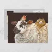 ベスト ネスト ポストカード (正面/裏面)