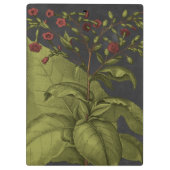 ベスラー・ドラマティックI クリップボード (裏面)