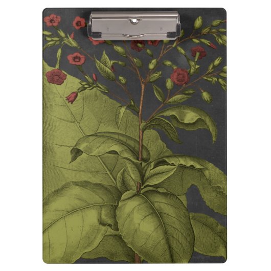 ベスラー・ドラマティックI クリップボード (正面)