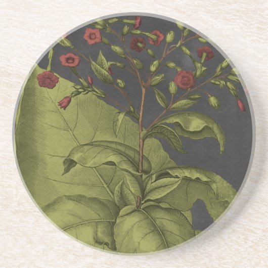 ベスラー・ドラマティックI コースター (正面)