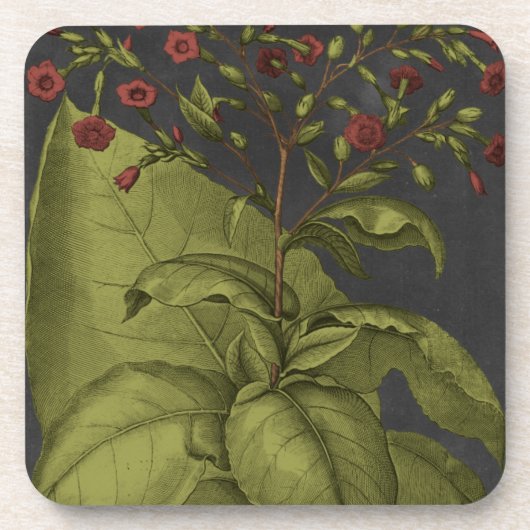 ベスラー・ドラマティックI コースター (正面)