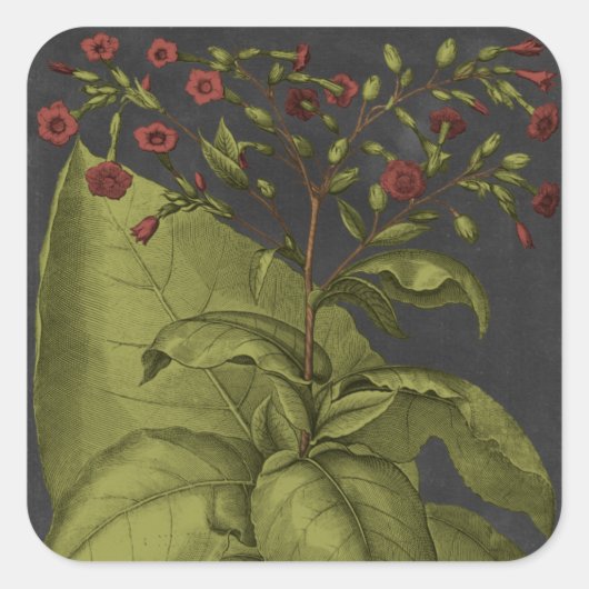 ベスラー・ドラマティックI スクエアシール (正面)