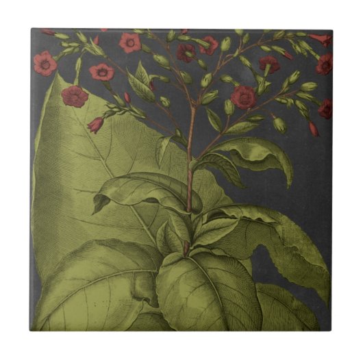 ベスラー・ドラマティックI タイル (正面)