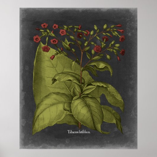 ベスラー・ドラマティックI ポスター (正面)