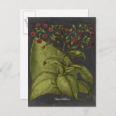 ベスラー・ドラマティックI ポストカード (正面/裏面)