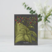 ベスラー・ドラマティックI ポストカード (スタンド正面)