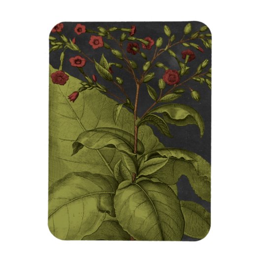 ベスラー・ドラマティックI マグネット (縦)